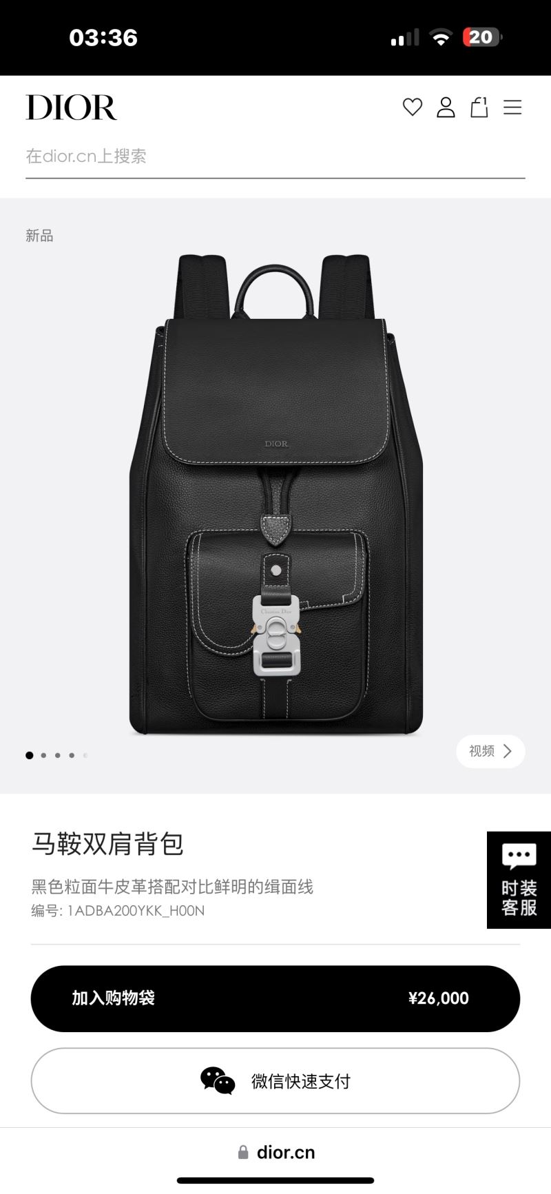 Christian Dior Backpacks